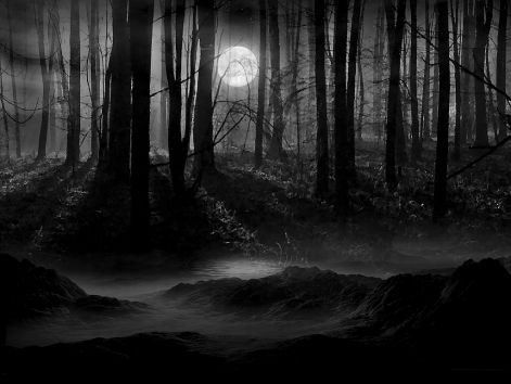 dark.forest.jpg